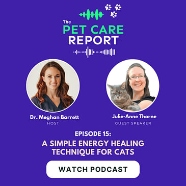 Julie-Anne Thorne: A simple energy healing technique for Cats | E15