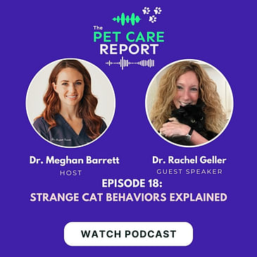 Dr. Rachel Geller: Strange Cat Behaviors Explained | E18