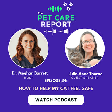 Julie-Anne Thorne: How to Help My Cat Feel Safe | E34
