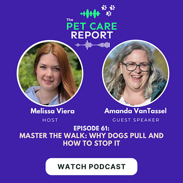 Amanda VanTassel | Master the Walk: Why Dogs Pull and How to Stop It | E61