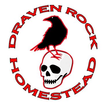 Draven Rock Homestead: What the Flock Series - Winterizing Your Chicken Coop & Chicken Run