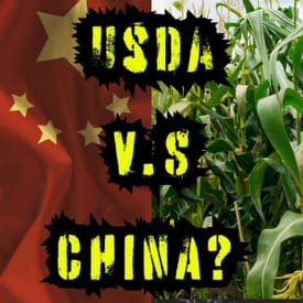 CHINA V USDA