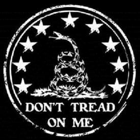 Patriot Power Hour #312 - Silver $40; BTC $120K; Gold All Time High --- Financial Crisis Imminent?