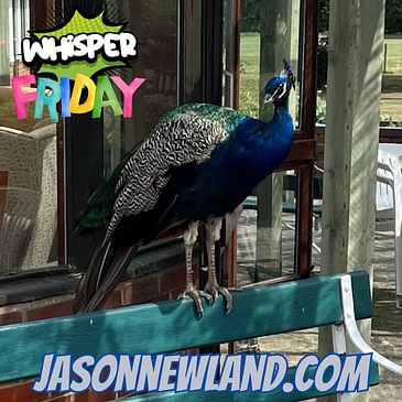 (music) (5 hours) Whisper Friday | LMBYTS #1401 | Jason Newland | 1st August 2025
