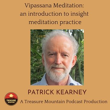 Vipassana Meditation: an introduction to insight meditation practice | Patrick Kearney