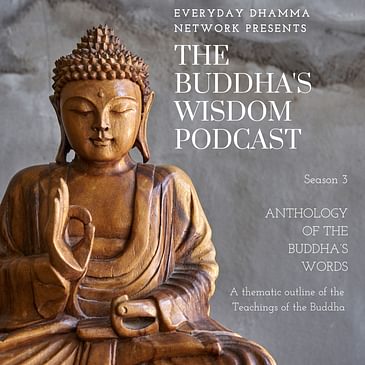 The Tribulations of Unreflective Living - In the Buddha’s Words (S3E02)