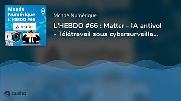 L'HEBDO #66 : Matter - IA antivol - Télétravail sous cybersurveillance - Metavers sans passion