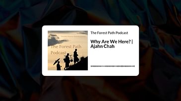 Why Are We Here? | Ajahn Chah | The Forest Path Podcast