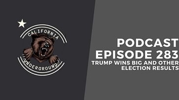 Trump Wins Big and Other Election Results
