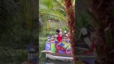 The Magic is Calling at Disney’s Animal Kingdom #waltdisneyworld #shorts #disneyparks