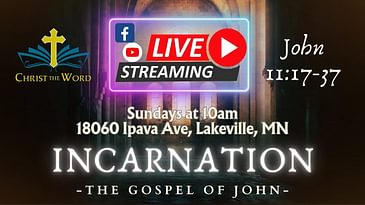 Incarnation 33 - Gospel of John - John 11:17-37 - Christ the Word Church - Nate Prazuch