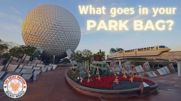 What goes in your park bag? | Planning Tips | Disney World