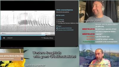 Western Songbirds w/CaliforniaBirbs | July 14, 2023