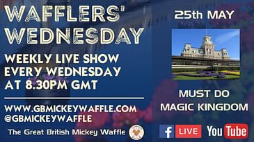 Wafflers’ Wednesday - Episode #67: Must do Magic Kingdom