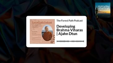 Developing Brahma Viharas | Ajahn Dtun | The Forest Path Podcast