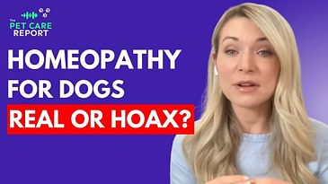 Homeopathy for Dogs - Does It Really Work or Is It a Scam?