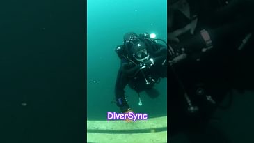 Local diving has fishie friends too! #scuba #scubalife #12for12diver #underwater
