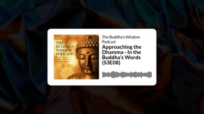Approaching the Dhamma - In the Buddha's Words (S3E08) | The Buddha’s Wisdom Podcast