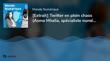 [Extrait] Twitter en plein chaos (Asma Mhalla, spécialiste numérique et politique)