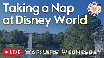 What Happens When You Try Napping at Disney World?