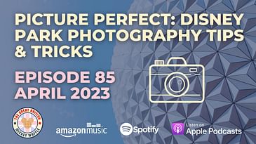 Picture Perfect Disney World Photography Tips and Tricks