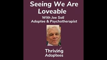 Seeing We Are Loveable With Joe Soll Adoptee & Psychotherapist