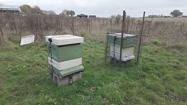27 October 2024. Showing winter preparations.