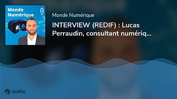 INTERVIEW (REDIF) : Lucas Perraudin, consultant numérique pour les entreprises