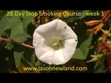 Week 1 - 28 day Stop Smoking Hypnosis Course (2009)
