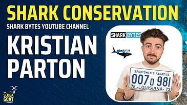 Shark Bytes host and Marine Biologist, Kristian Parton on the Scuba GOAT podcast