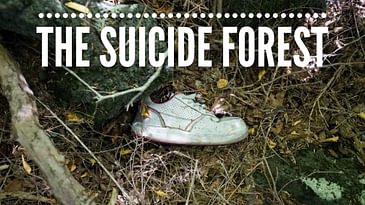 Suicide Forest - Aokigahara Forest- Serial Napper True Crime Podcast