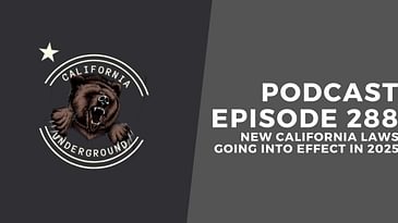 New California Laws Going Into Effect in 2025