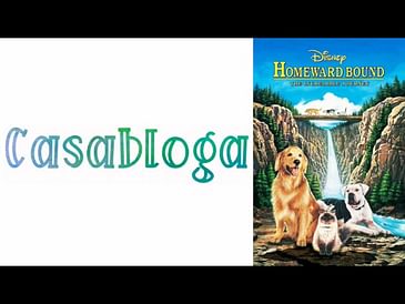 12) Homeward Bound: The Incredible Journey