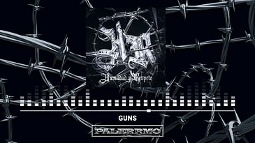 Palerrmo X @marty.e - Guns [Visualizer]