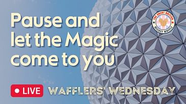 Pause and Let the Magic Come To You! | Wafflers' Wednesday