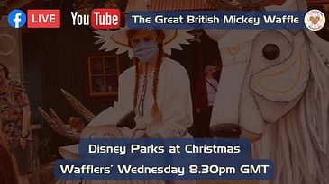 Wafflers’ Wednesday – Episode #48 – Disney Parks at Christmas Part 2