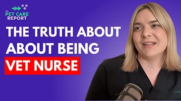Pros & Cons Of Being A Vet Nurse