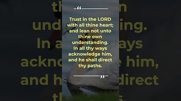 Trust In The Lord With All Your Heart - Proverbs 3:5-6 #shorts Bible verse video by Robert Woeger