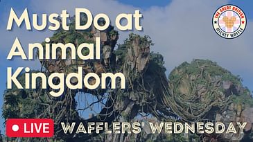Must Do's at Disney's Animal Kingdom | Wafflers' Wednesday