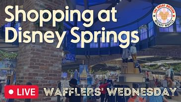 Shopping at Disney Springs | Walt Disney World | Wafflers' Wednesday
