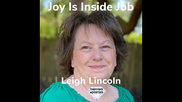 Joy Is An Inside Job Leigh Lincoln