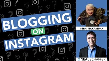 Blogging on Instagram? Author Terri Nakamura Reveals All!