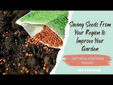 Saving Seeds From Your Region to Improve Your Garden