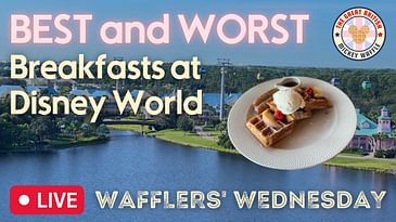 BEST & WORST Breakfasts at Disney World