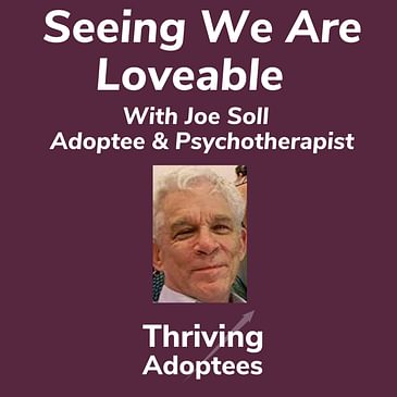 Seeing We Are Loveable With Joe Soll Adoptee & Psychotherapist