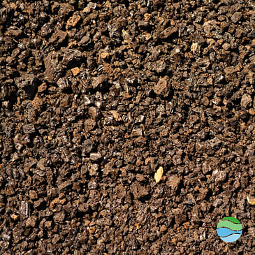 S1 #3 | Soil: carbon sink and saviour?
