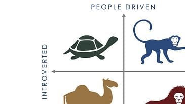 The Tranquil Turtle