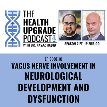 Vagus Nerve Involvement In Neurological Development And Dysfunction