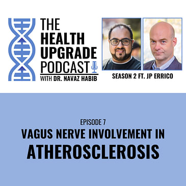 Vagus Nerve Involvement In Atherosclerosis