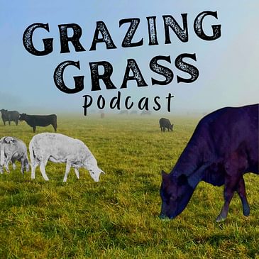 e117. Fighting Fires and Grazing Sheep with William Vogl